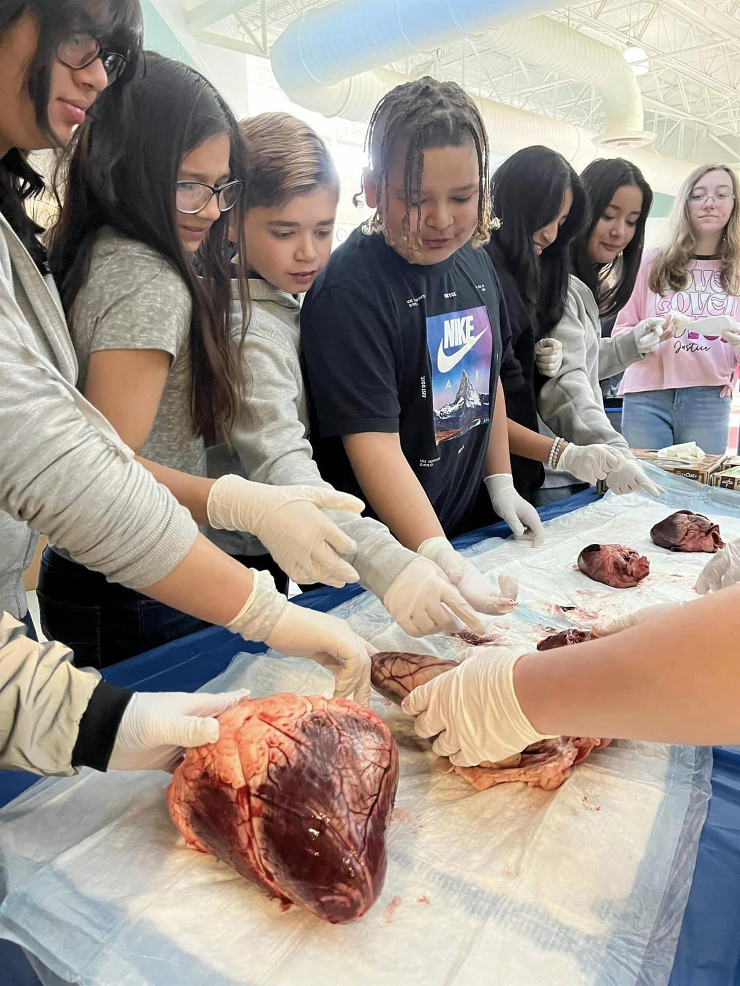 sixth graders wearing medical gloves